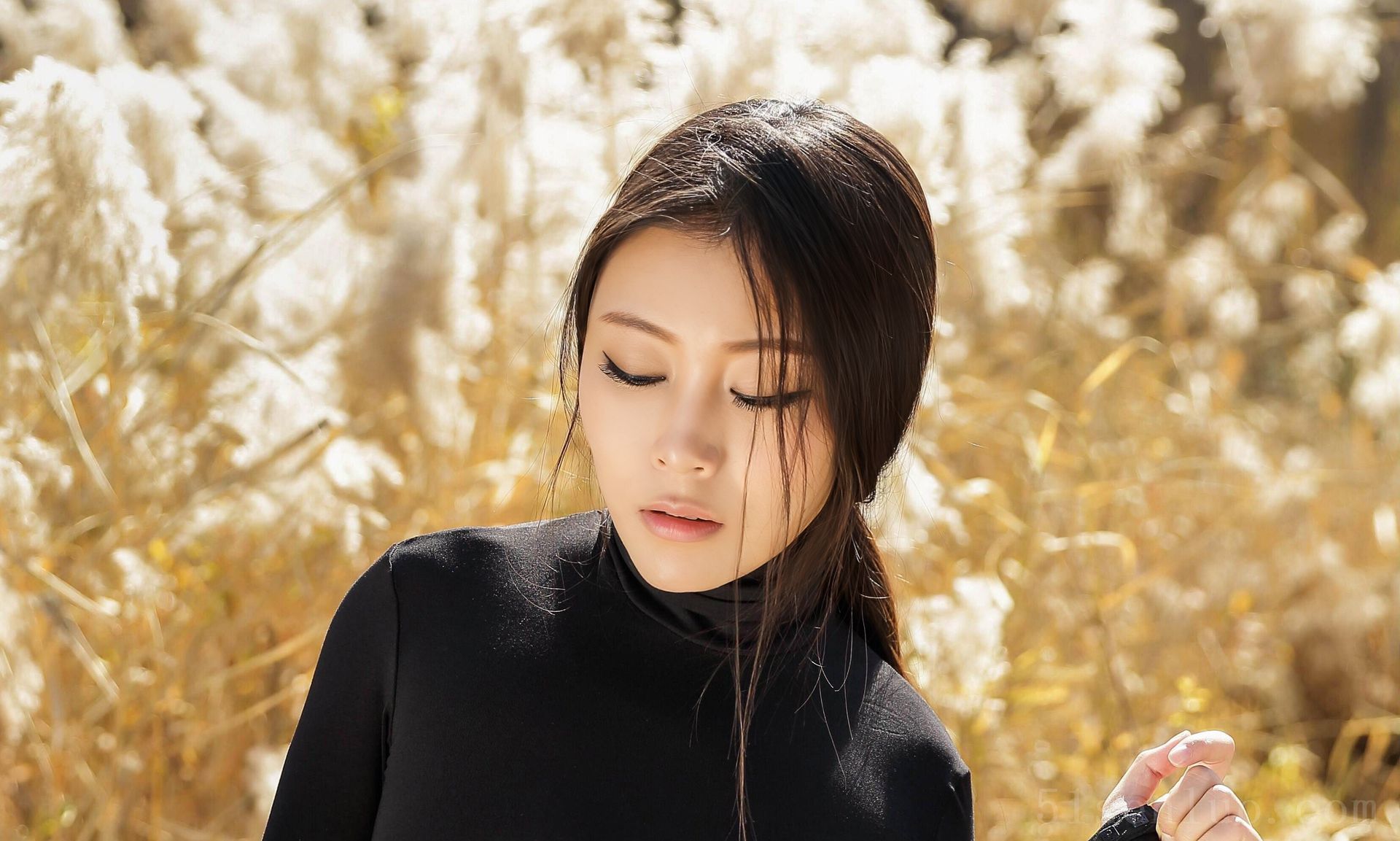 丝袜美腿预览图